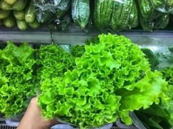 Wow! Pria Ini Menang Tuntutan Rp 2,7 M Gegara Kepleset Air Selada