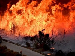 Kebakaran Hutan di California Kian Tak Terkendali, 50 Ribu Orang Dievakuasi