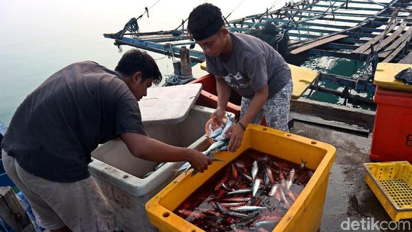 Geliat Perekonomian di Pulau Terluar Indonesia