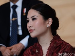 Jokowi Mau Angela Tanoesoedibjo Fokus Promosi Pariwisata