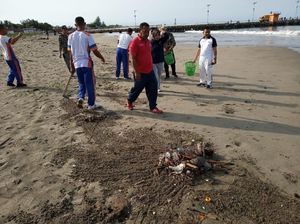 Kurangi 70% Sampah Pada 2025, Kemenhub Bersihkan Laut Tiap Bulan Kurangi 70% Sampah Pada 2025, Kemenhub Bersihkan Laut Tiap Bulan