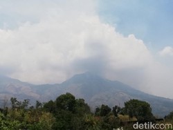 Kebakaran Masih Terjadi di Arjuno-Welirang, Titik Api Terlihat di Blok Gumandar