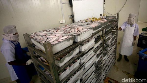 Melihat Aktivitas di Cold Storage Natuna