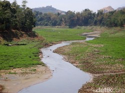 Polisi Usut Anak Usaha Sinar Mas Gegara Buang Limbah ke Citarum