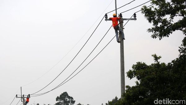 Perjuangan Petugas PLN Optimalkan Jaringan Listrik di Perbatasan RI