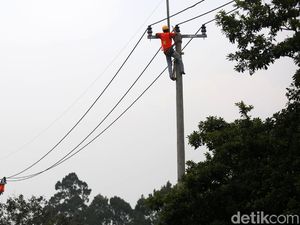 Perjuangan Petugas PLN Optimalkan Jaringan Listrik di Perbatasan RI