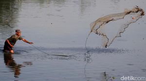 Potret Warga di Kabupaten Bandung Berburu Ikan Sapu-Sapu