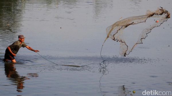 Potret Warga di Kabupaten Bandung Berburu Ikan Sapu-Sapu