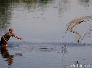 Potret Warga di Kabupaten Bandung Berburu Ikan Sapu-Sapu