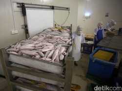 Peluang Cuan dari Bisnis Gudang Beku Ikan, KKP Siap Dampingi