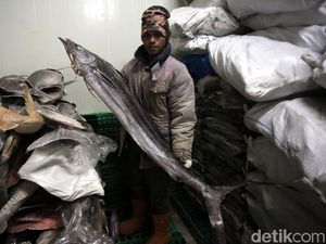 Usaha Masyarakat Terbantu dengan Hadirnya Listrik PLN di Natuna