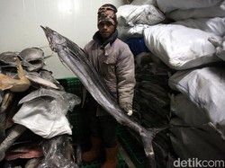 Usaha Masyarakat Terbantu dengan Hadirnya Listrik PLN di Natuna