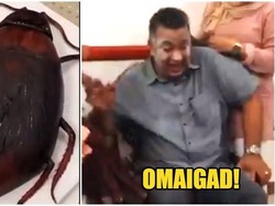 Dapat Kejutan Kue Bentuk Kecoa Raksasa, Reaksi Pria Ini Bikin Ngakak