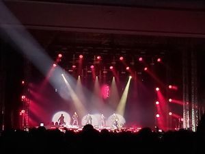 Lagu Shape of My Heart Backstreet Boys: Lirik, Terjemahan dan Maknanya