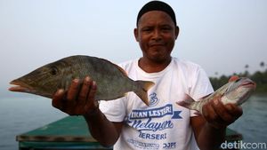 Melihat Nelayan Tradisional Mancing Ikan di Pulau Setanau