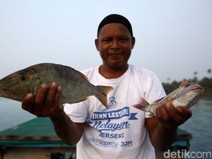 Melihat Nelayan Tradisional Mancing Ikan di Pulau Setanau Melihat Nelayan Tradisional Mancing Ikan di Pulau Setanau