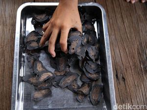 Kerupuk Ikan, Peluang Komoditas Ekonomi Natuna Kerupuk Ikan, Peluang Komoditas Ekonomi Natuna
