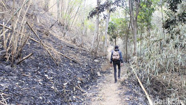 Hutan Keramat di Cimahi, Boleh Masuk tapi Harus Lepas Alas Kaki