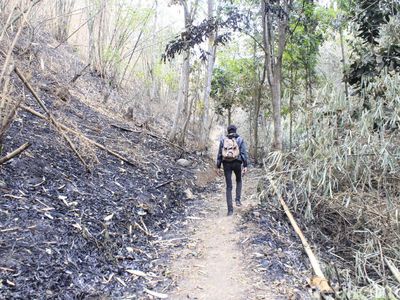 Hutan Keramat di Cimahi, Boleh Masuk tapi Harus Lepas Alas Kaki