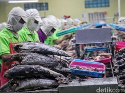 Kenaikan Biaya Logistik Perikanan Diusulkan Ditunda
