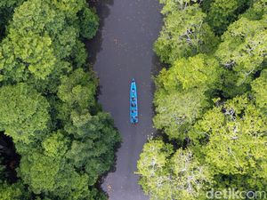 Serunya Menyusuri Hutan Bakau Rumadian Maluku Tenggara
