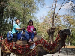 Imbas Corona, Kehidupan Satwa TSTJ Solo Hanya Bertahan Hingga Juli