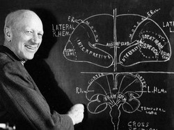 Seputar Wilder Penfield dan Fakta Menariknya