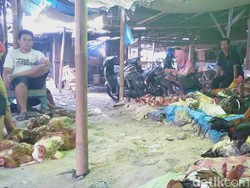 Tak Boleh Jadi Satu, Pedagang Unggas di Mranggen Diminta Pindah