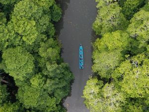 Nikmati Serunya Adventure Ala Jumanji di Hutan Bakau Rumadian