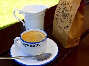 Ini 5 Kopi Termahal Di Dunia dengan Harga Fantastis