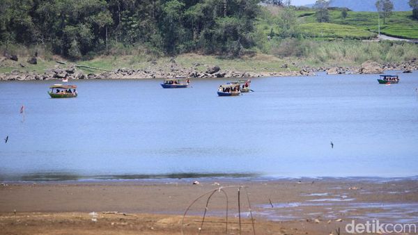 Foto: Situ Patenggang yang Cantik Mulai Surut