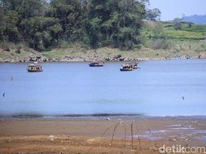 Foto: Situ Patenggang yang Cantik Mulai Surut