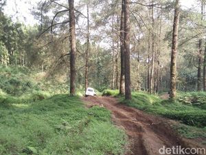 7 Destinasi Wisata nan Indah di Purwokerto