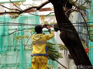 Pemprov DKI Segera Rapikan Kabel yang Menjuntai Dekat Halte Tendean Pemprov DKI Segera Rapikan Kabel yang Menjuntai Dekat Halte Tendean