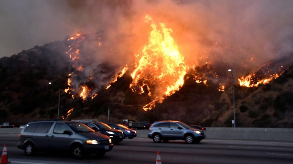 Ganasnya Kebakaran Hutan Los Angeles yang Hanguskan Rumah-rumah Mewah