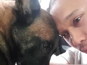 Sesenggukan Bima Aryo Melihat Kematian Anjing Sparta Sesenggukan Bima Aryo Melihat Kematian Anjing Sparta