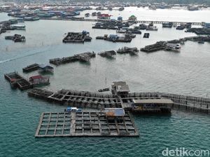 Biar Kuota Nggak Jebol, Subsidi BBM Buat Nelayan Mau Dicabut?