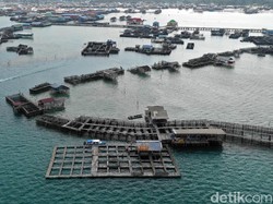 Biar Kuota Nggak Jebol, Subsidi BBM Buat Nelayan Mau Dicabut?