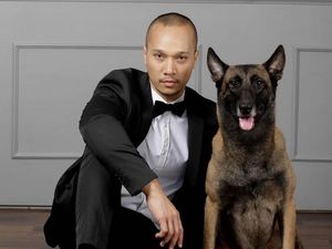 Sparta Mati, Mengulang Kesedihan Bima Aryo ketika Anjing Dikarantina Sparta Mati, Mengulang Kesedihan Bima Aryo ketika Anjing Dikarantina