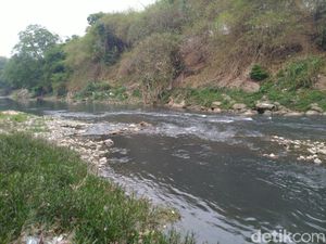 Sungai Cileungsi Tercemar, DLH Bogor Tutup Saluran Limbah di 14 Perusahaan
