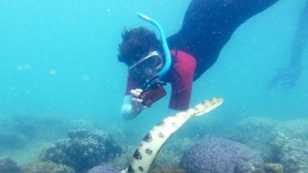 Foto: Aksi 7 Nenek Lacak Ular Mematikan