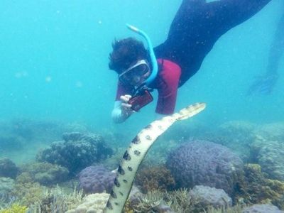 Foto: Aksi 7 Nenek Lacak Ular Mematikan