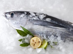 4 Cara Membekukan Ikan agar Tidak Mudah Hancur dan Tetap Enak