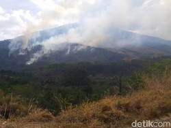 Kebakaran di Gunung Ciremai Kuningan Dipastikan Padam