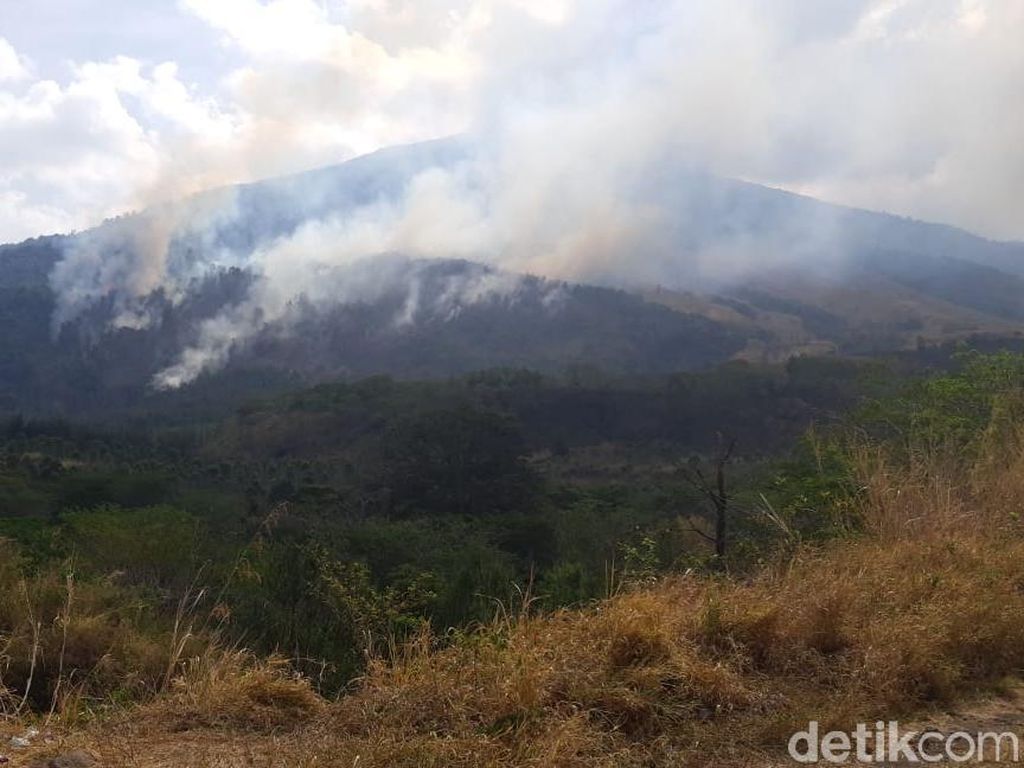 Gunung Ciremai Kembali Terbakar, 75 Hektare Lahan Hutan Dilalap Api Gunung Ciremai Kembali Terbakar, 75 Hektare Lahan Hutan Dilalap Api
