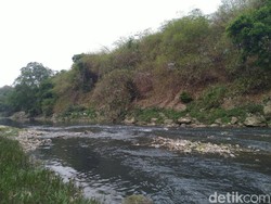 Warga Keluhkan Sungai Cileungsi Tercemar: Baunya Menyengat Masuk Rumah!