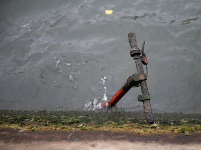 Potret Sampah Skuter di Sungai Paris