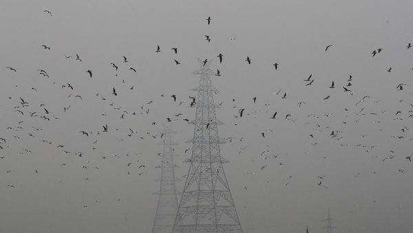 India Hadapi Polusi Udara Terparah