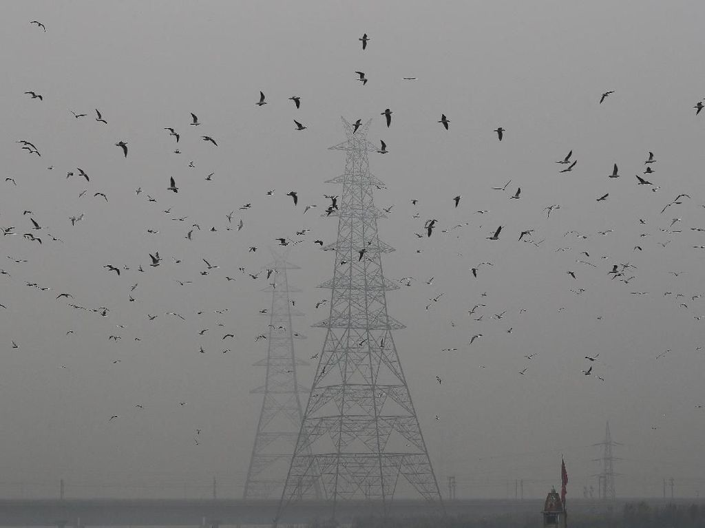 India Hadapi Polusi Udara Terparah