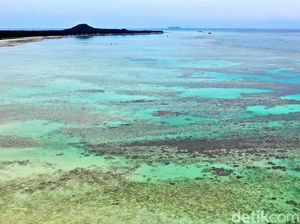 Pesona Pantai Sinimpak Mutiara dari Natuna Pesona Pantai Sinimpak Mutiara dari Natuna